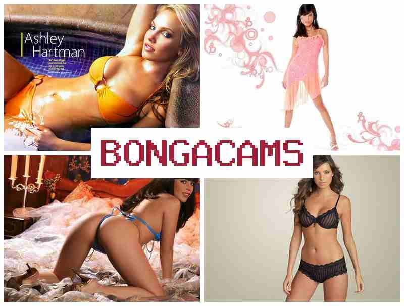 BONGA CAMS 📺 HD Sex Lingerie & Group Sex Chat Video BONGA CAMS 📺 HD Sex Lingerie & Group Sex Chat Video