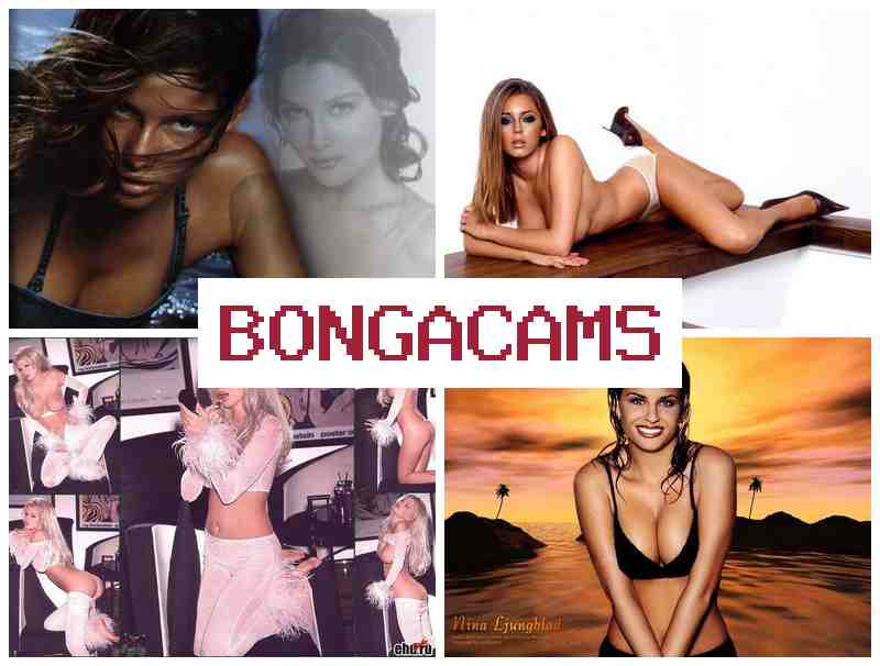 BONGA CAMSS 💗 Ass Fucking Porn & Mary Porn