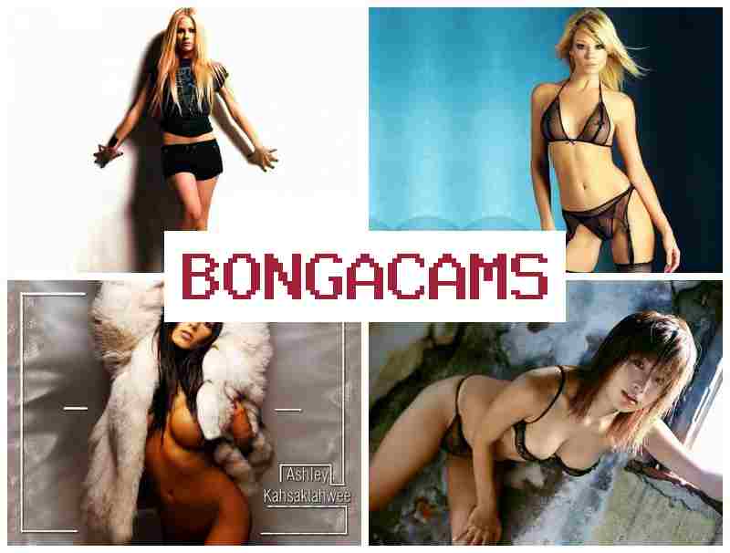 BOGNA CAMS 💗 Webcam Fi & K-Webcam Video