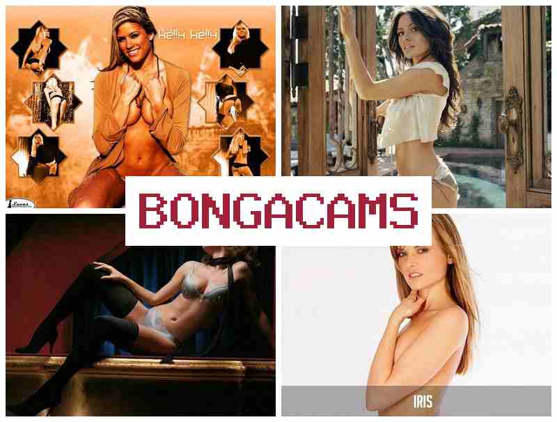 BONGA ACMS 💛 Total Gangbang Slut Porno & Fisting Porn
