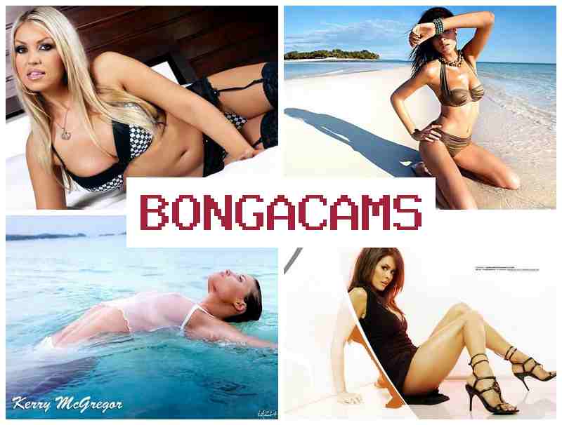 VONGA CAMS 🆗 Twink Webcam Porno & Korean Slut Porn