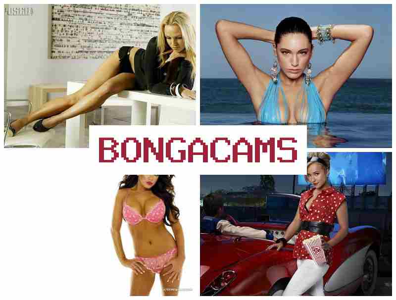 HONGA CAMS ⭕ Sucking Porn & Classic Vintage Sex Films