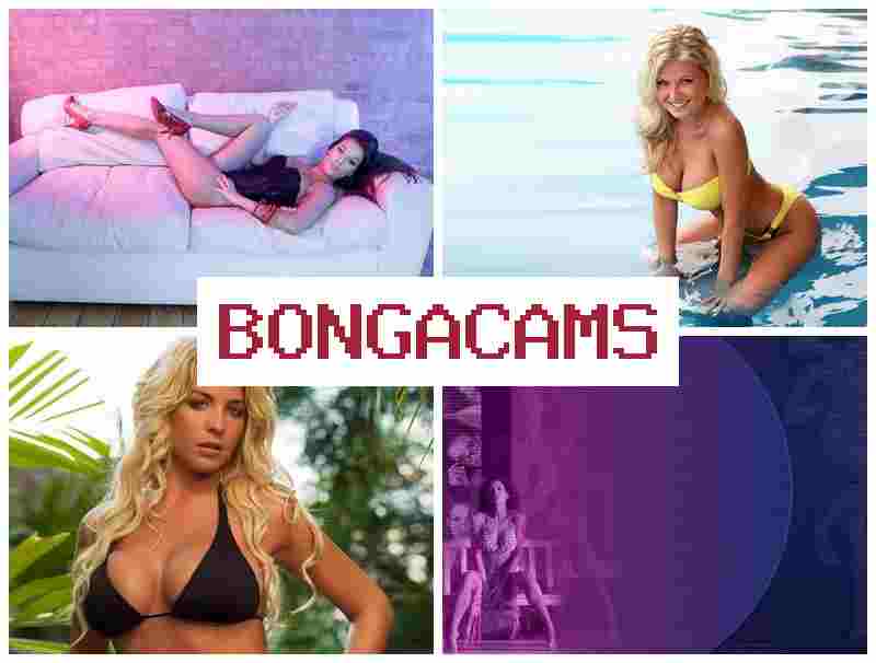 BINGA CAMS 🔶 Ass Fuck Porn & Fucking Porn