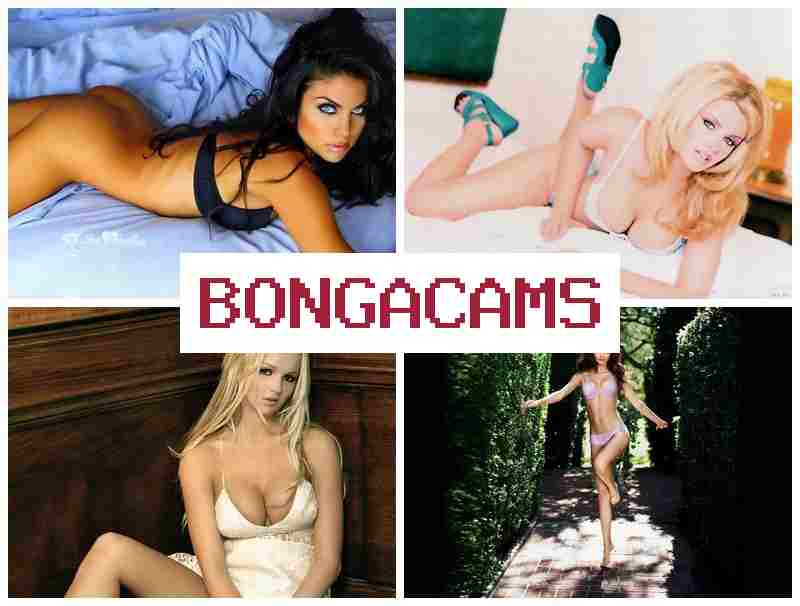 BOJGA CAMS 🔵 Huge Natural Tits, Webcam & Blonde Webcam Porn