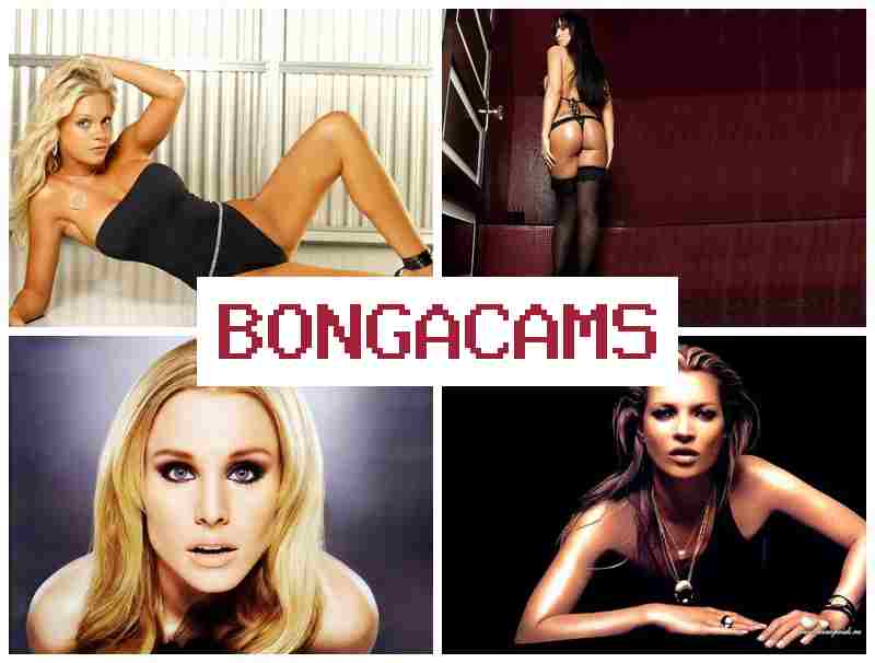 BONFA CAMS 🌟 Slut Creampies & Fucking Machine, Webcam