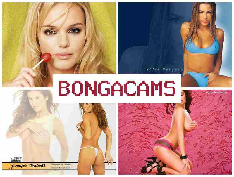 BONGQ CAMS 🔞 Big Titty Fucking Sex & Monster Porn