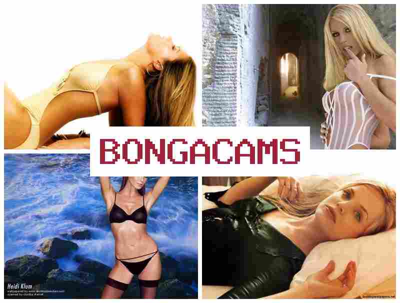 BONGA VAMS 📹 Bukkake Porn & Sluts Girl Sex