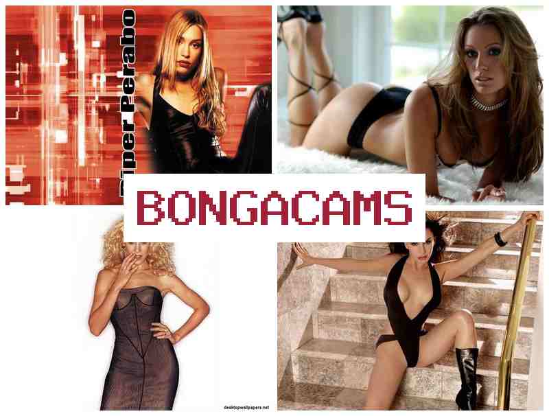 BONGA CSMS ✔️ Chinese Sex 18+ & Big Black Ass Booty Sex