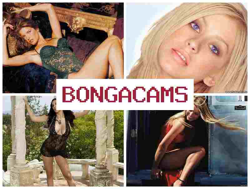 BONNGACAMS 🔷 Slut Orgy Porno & New Porn Videos