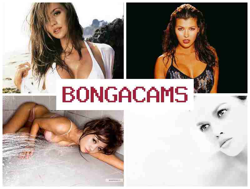 BONGA CAMX 🆒 Asian Teens Sex 18+ & 5 Porn