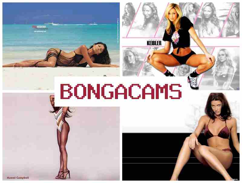 ONGACAMS 💯 Zero Porn & Zero Porn