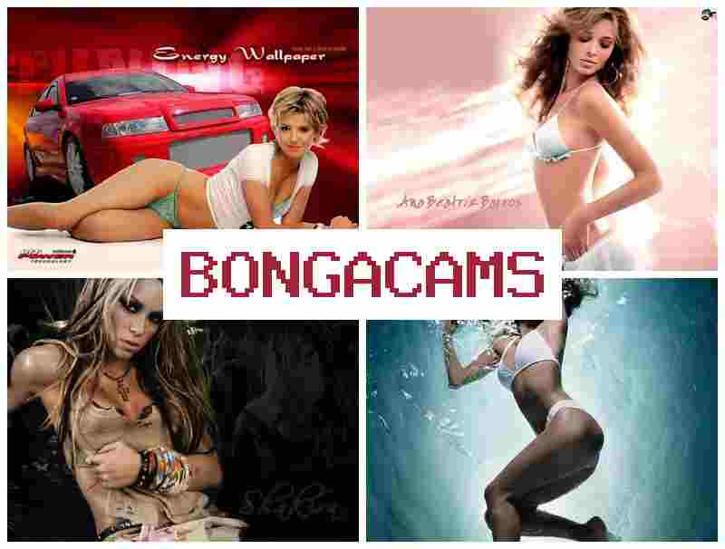 HONGACAMS 💝 Slut Training Porn & Dildo Sex XXX