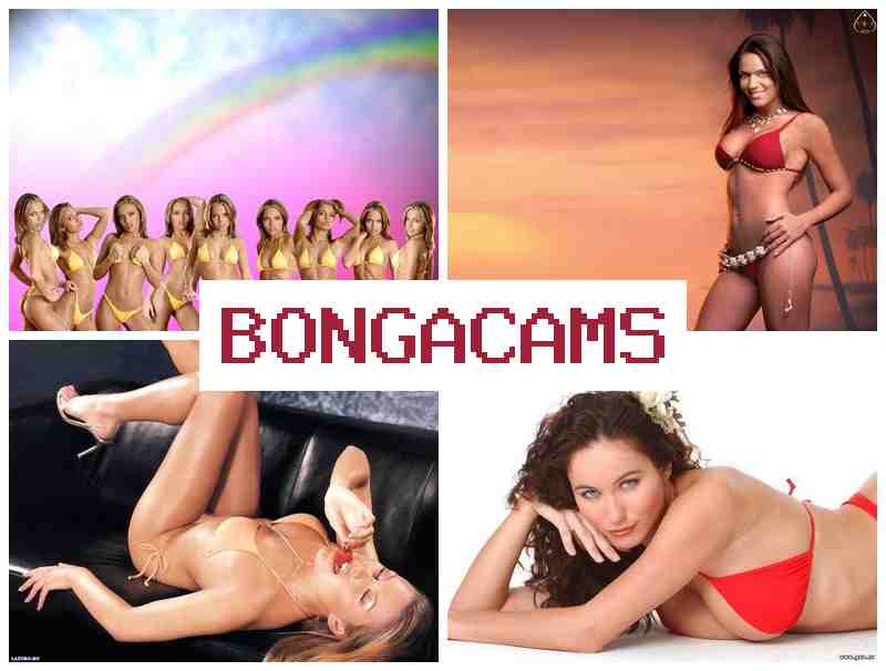 B9NGACAMS 🆓 Hentai Comics Slut & Fuck Pussy, Webcam