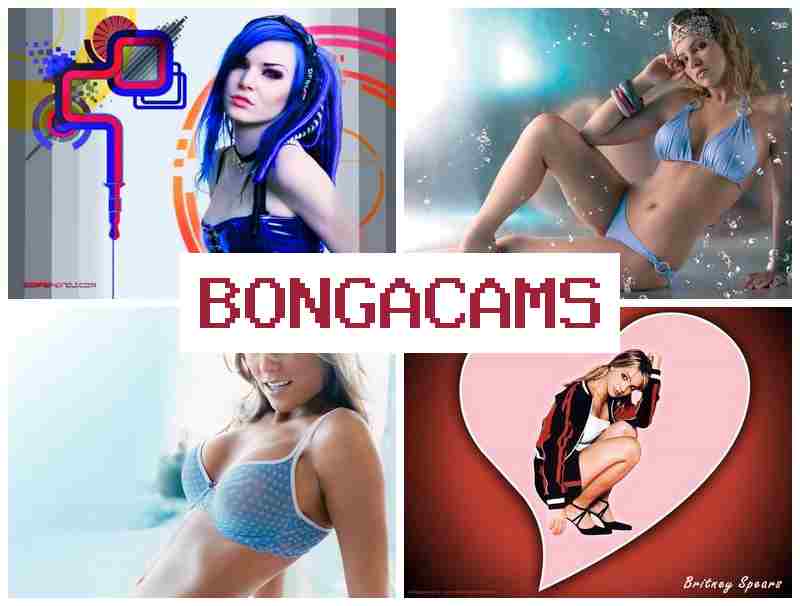 BONFACAMS ♥ Webcam Boobs XXX & Therapy Porn