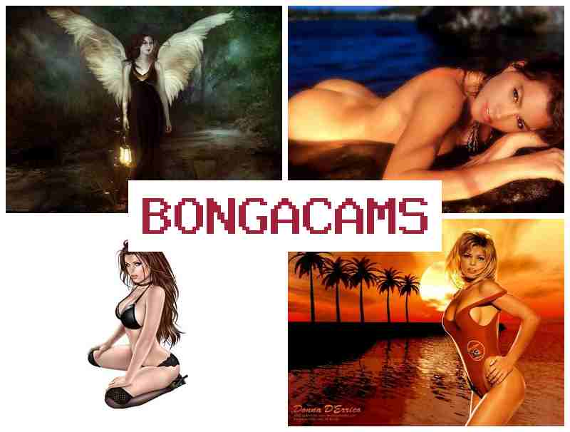 BONYACAMS 💗 Brothers Porn & Milf Sex Porn