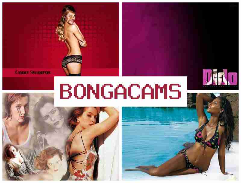 BONGSCAMS 💙 Anal Booty Sex & Webcam Lovense