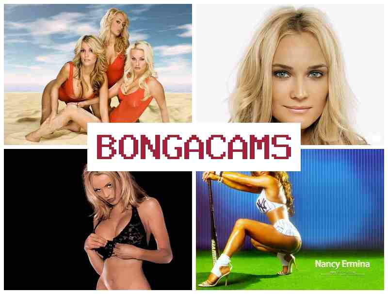 BONGAFAMS 💛 Japan's Porn & Slut Wife Bang