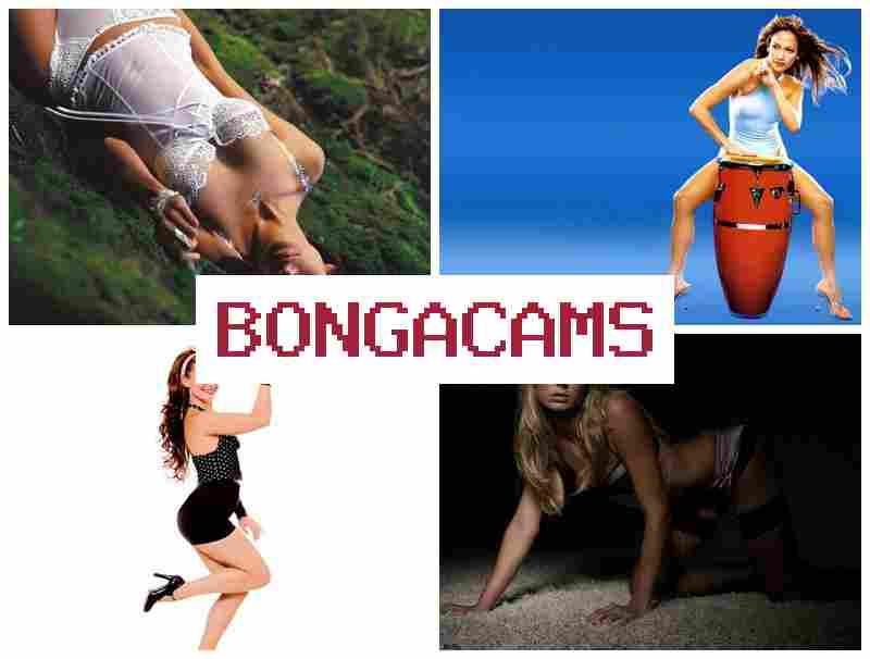 BONGACSMS ♥ Public Sluts Video & Rocco Porn