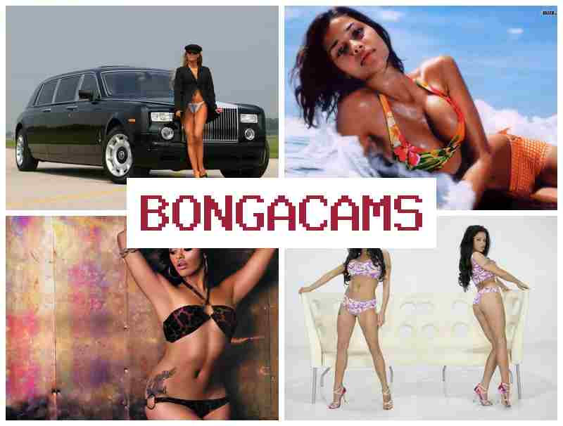 BONGCAMS 💘 Best Sex Scene Porn & Shower Sluts