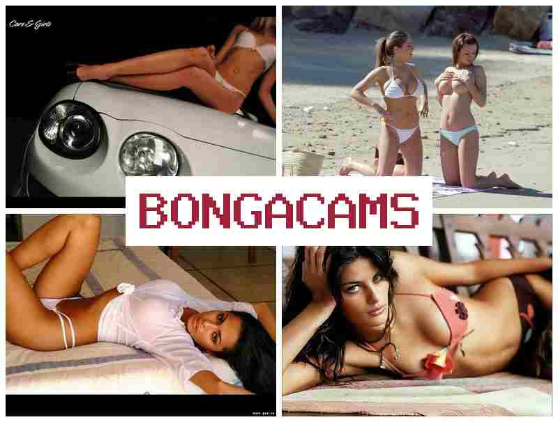 BONGACANS ▓ Anal Creampie Sex Amateur & Free Sex Picture