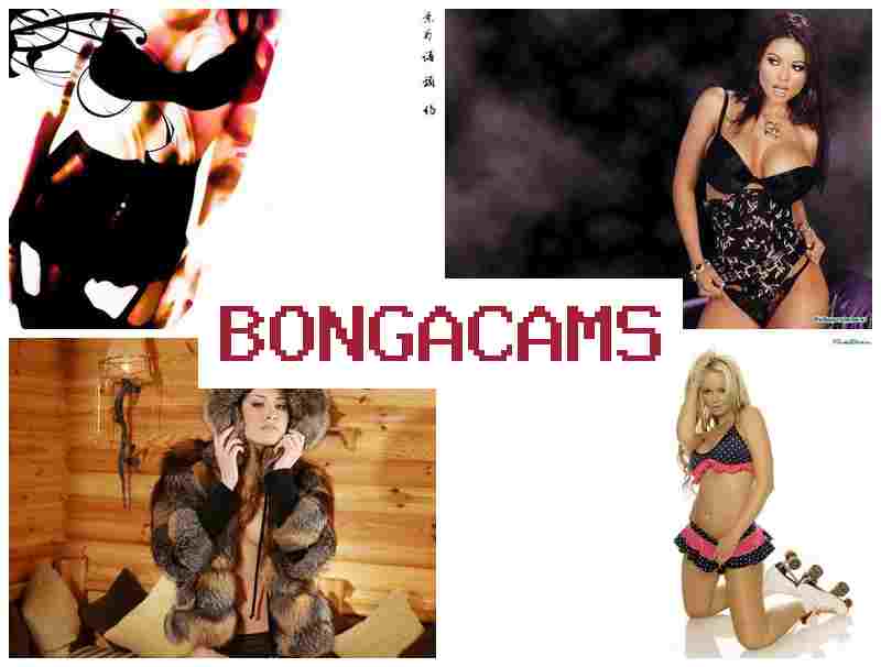 BONGA AMS 💻 Rough Porn & Rider Porn BONGA AMS 💻 Rough Porn & Rider Porn