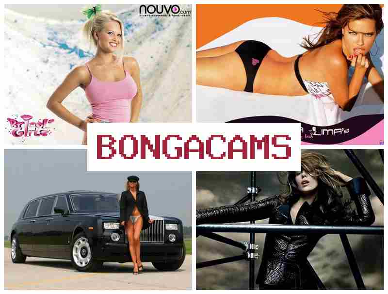 BONGA CAMMS 😍 Cam Porn & Korean Slut Porn