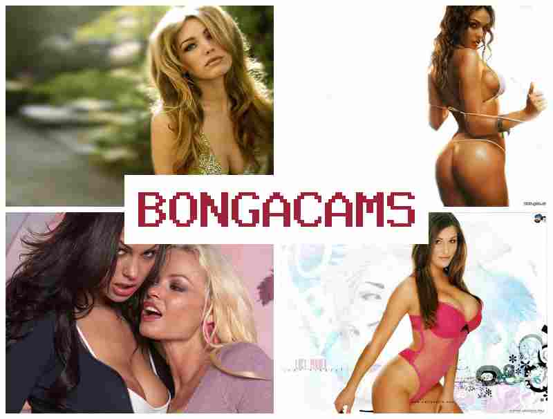 BONGACAS 💖 Homemade Giant Tits, Webcam & Latin Webcam Porno