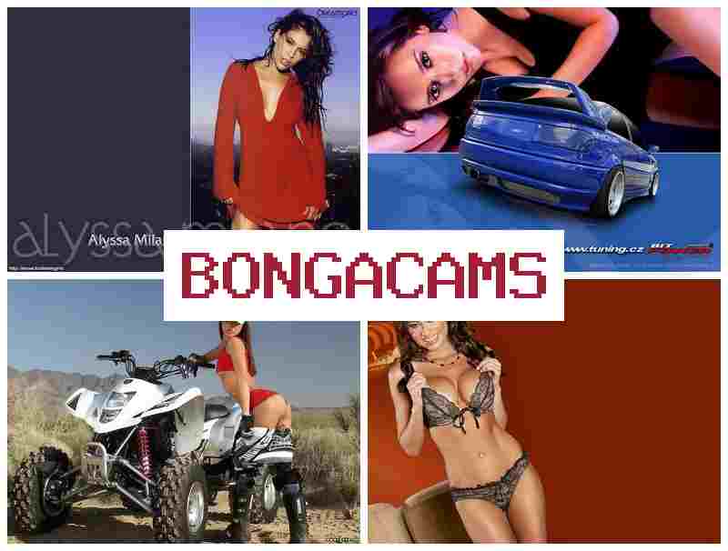 BNOGA CAMS 🔻 Small Tits, Webcam Show Porno & Slut Teens Sex Video