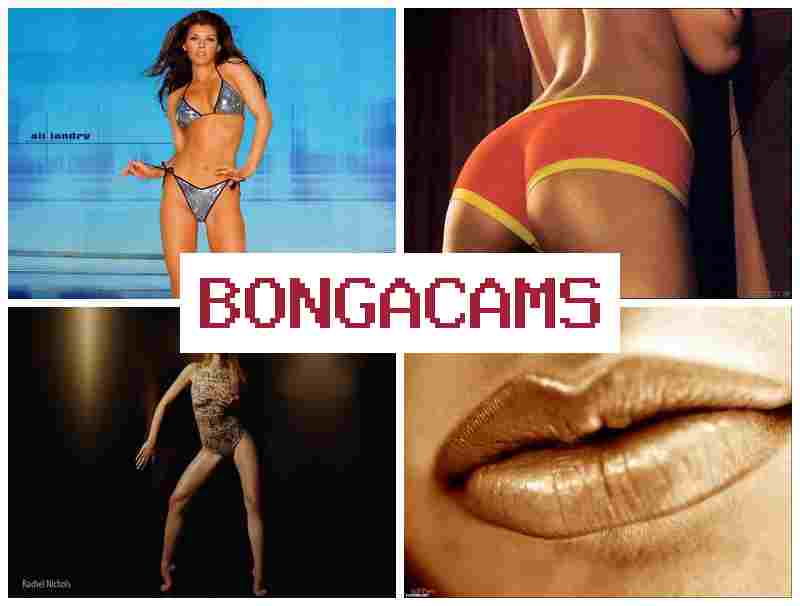 BONGA CASM 💜 Broke Sluts & Korean Slut Porn