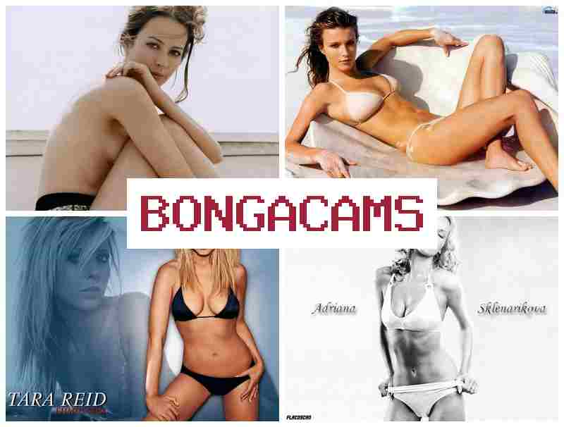 BONGACAM 💕 Rainbow Slut Royal Ass Porn & Babes Sex Movie