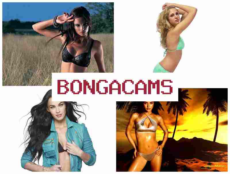 B0NGA CAMS 👍 Video Sex Anime Slut & Hardcore Sex Kanal Telegram