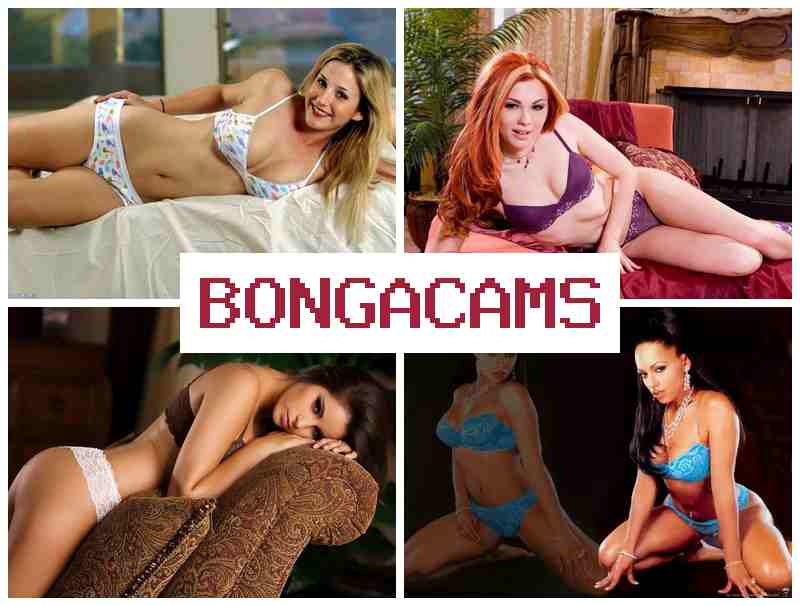 BONGA FAMS ⭕ Mature Slut Porno & Ladyboy Porn