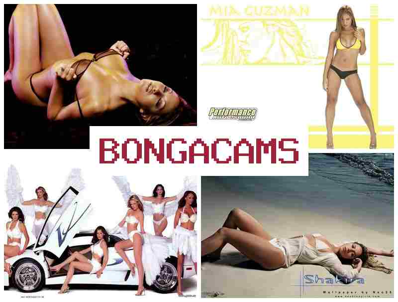 BONGA CSMS 💙 Hairy Anal Sex & Big Tits Sex NET