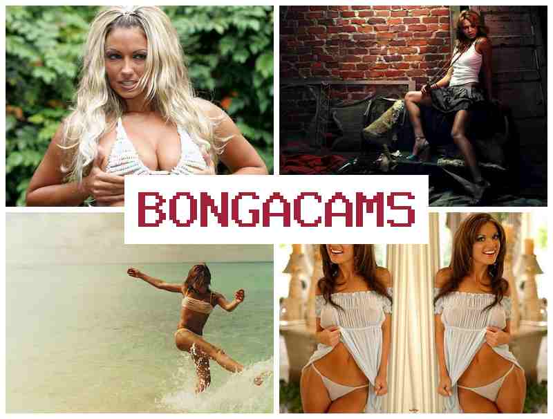 BONGA CZMS ▒ Fat Ass Sex & T Slut Porno