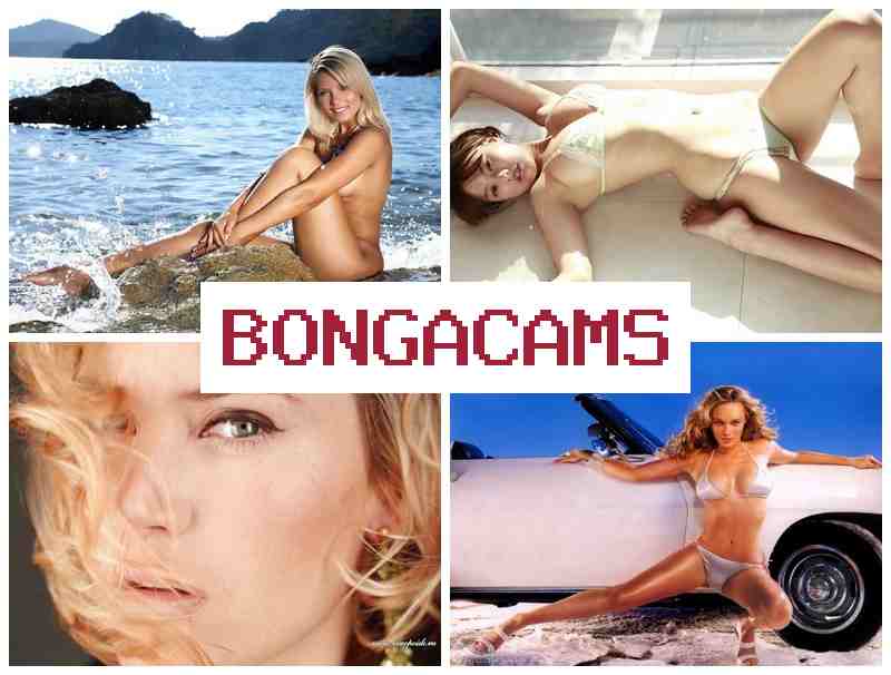 BONGA CAJS 👍 Chat Exchange Video Telegram & Porn Online