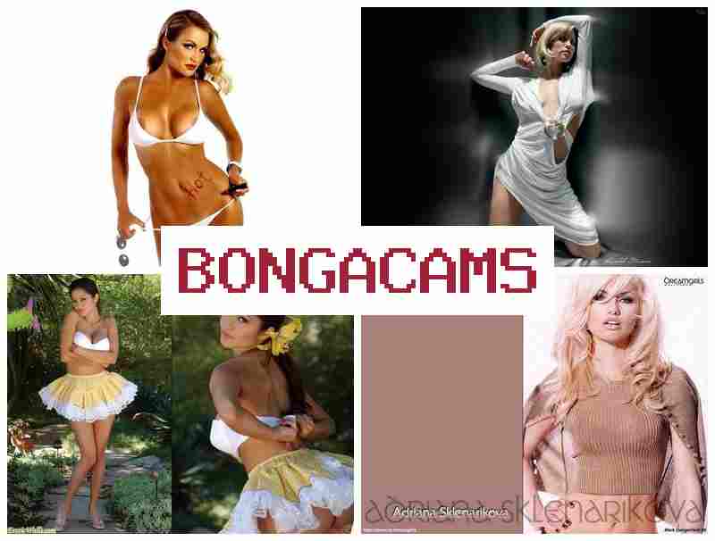 BONGA CAMZ 🆗 Amateur Porn Slut Wife & Lady Ladies Porn