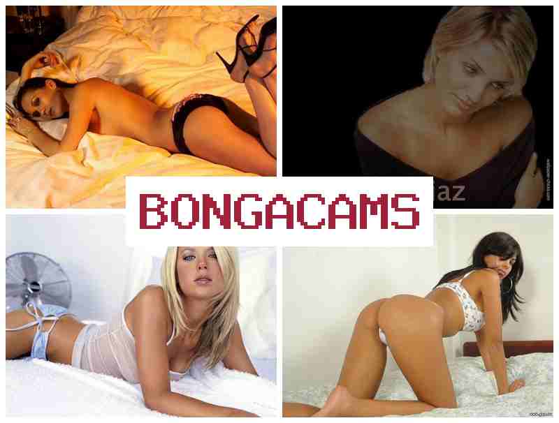 OBNGACAMS 🆓 Most Porn & Gangbang Piss Slut