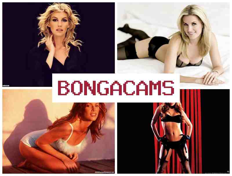 BNOGACAMS 😍 Indonesia Porn & Slut Wheeler