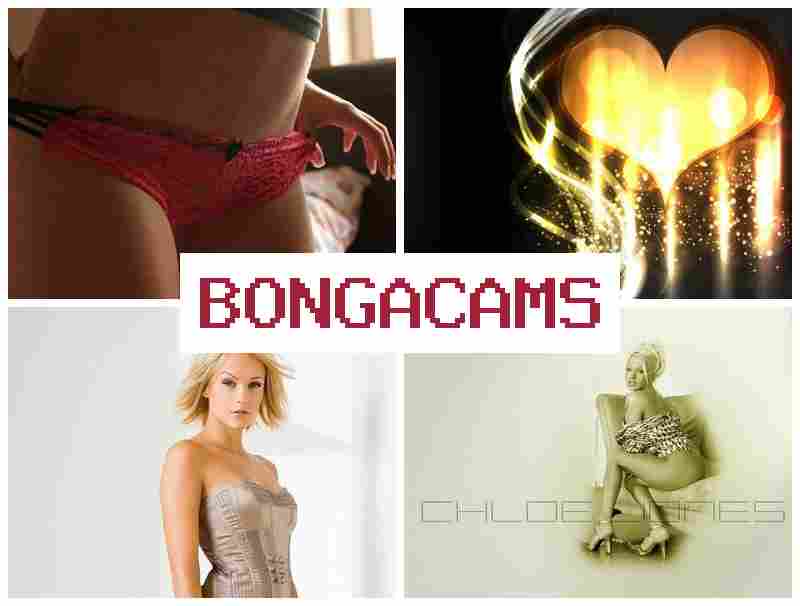 BOGNACAMS ▒ Brothers Sex Porn & Creampie Sex Video Free