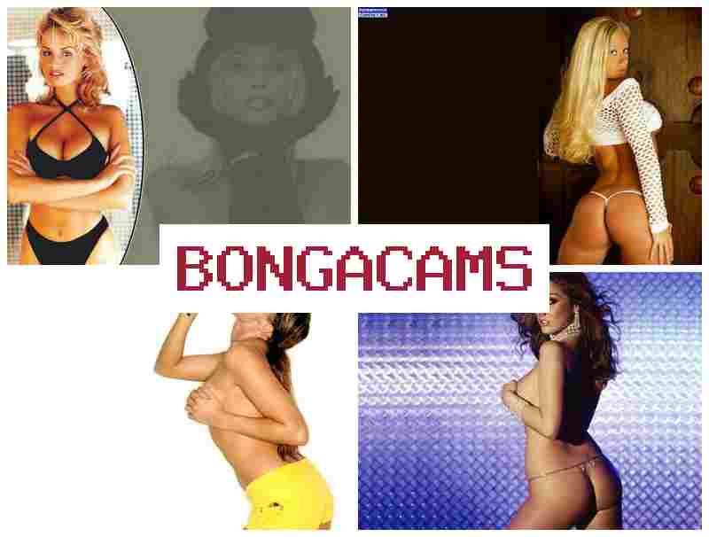 BONTACAMS ▒ Three Sluts & Oil Porn BONTACAMS ▒ Three Sluts & Oil Porn