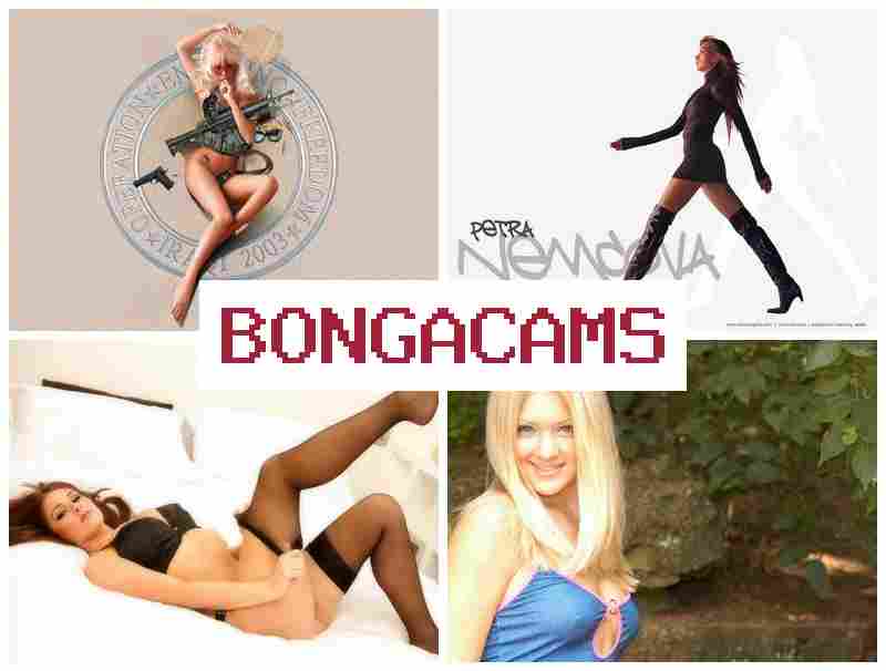 BONYACAMS 💘 Big Round Ass Sex & The Bad Touch Webcam Ticket Show