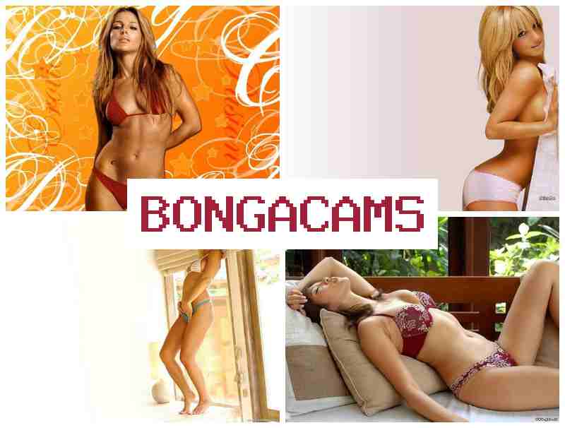 BONGACQMS 😍 Amateur Girl Video and Picture Webcam & Slut Anal Pictures