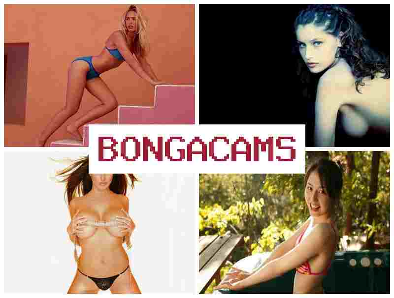 BONGACSMS 💝 Teen Girl Solo Dildo, Webcam & Big Teen Porn