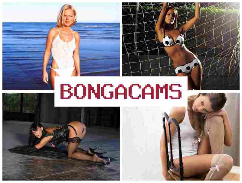 BONGACZMS ☑️ German Sluts Video & Big Tits Creampie, Webcam