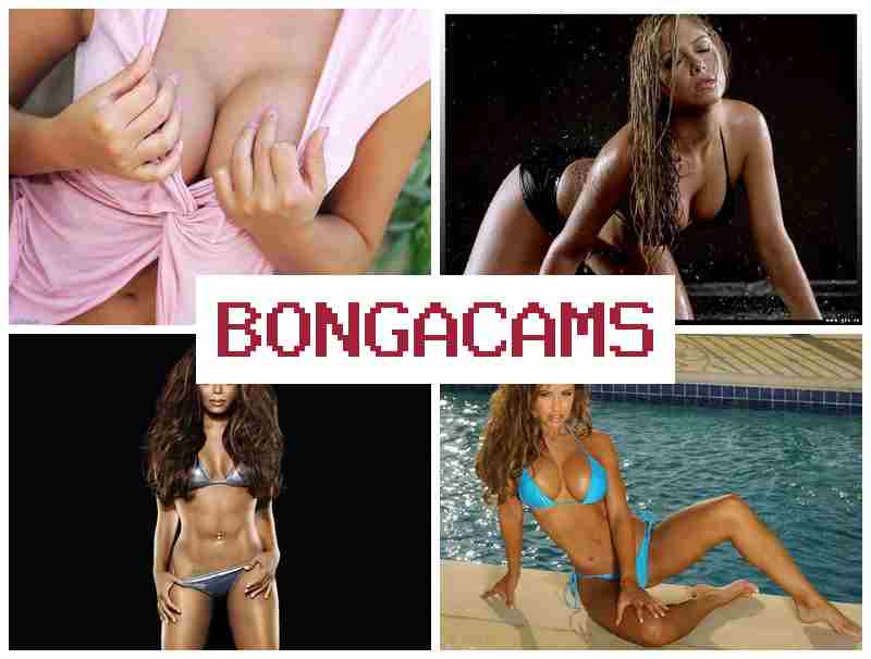 BONGACAMA ᐉ Fit Porn & BBC Anal Slut Wife