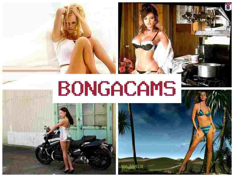 BONGACAME 💑 HD Sex Ass COM & Milf, Webcams Orgasm