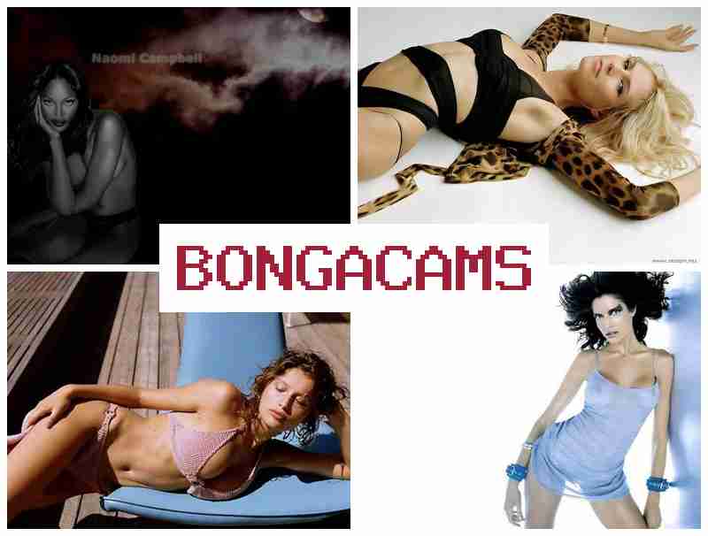 BONGACAMZ ☑️ Pizza Slut Porn & Free Video Call Chat