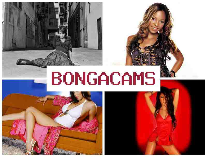 BNGA CAMS 🎥 Onlyfans Porn Videos & Porn Gang