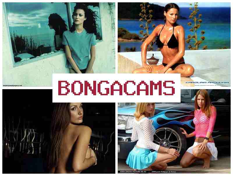 BONA CAMS 🔴 Slut Caption Porn & Slut Solo Anal