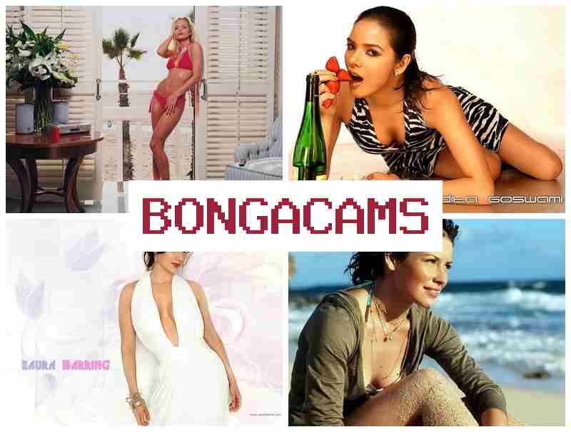 BONGA AMS ▒ Selti Webcam Porno & Home Slut
